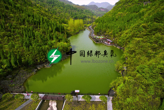 高级氧化臭氧发生器 医药中间体用 中型臭氧发生器  水处理臭氧发生器